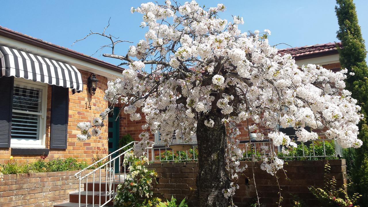 Winston Cottage At Three Sisters Katoomba Exterior photo